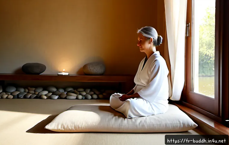 Home 17 불교와 내적 평화 - Photorealistic early morning scene in a quiet French Buddhist meditation room, a middle-aged woman s...
